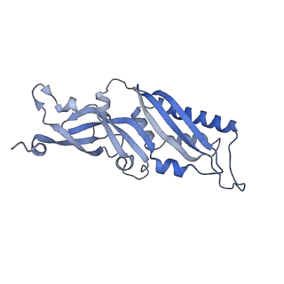 11097_6z6k_SB_v1-0
Cryo-EM structure of yeast reconstituted Lso2 bound to 80S ribosomes