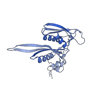 11097_6z6k_SC_v1-0
Cryo-EM structure of yeast reconstituted Lso2 bound to 80S ribosomes