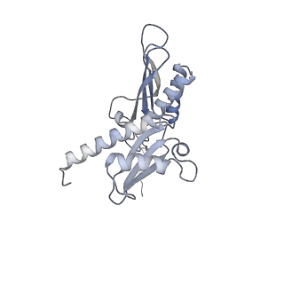 11097_6z6k_SD_v1-0
Cryo-EM structure of yeast reconstituted Lso2 bound to 80S ribosomes