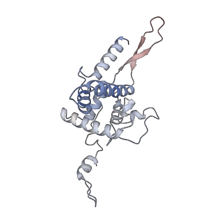 11097_6z6k_SF_v1-0
Cryo-EM structure of yeast reconstituted Lso2 bound to 80S ribosomes