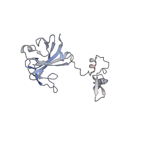 11097_6z6k_SG_v1-0
Cryo-EM structure of yeast reconstituted Lso2 bound to 80S ribosomes