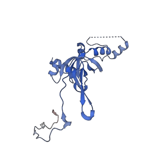 11097_6z6k_SI_v1-0
Cryo-EM structure of yeast reconstituted Lso2 bound to 80S ribosomes