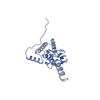 11097_6z6k_SJ_v1-0
Cryo-EM structure of yeast reconstituted Lso2 bound to 80S ribosomes