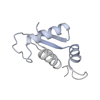 11097_6z6k_SK_v1-0
Cryo-EM structure of yeast reconstituted Lso2 bound to 80S ribosomes