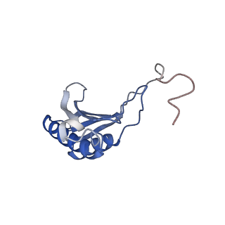 11097_6z6k_SO_v1-0
Cryo-EM structure of yeast reconstituted Lso2 bound to 80S ribosomes
