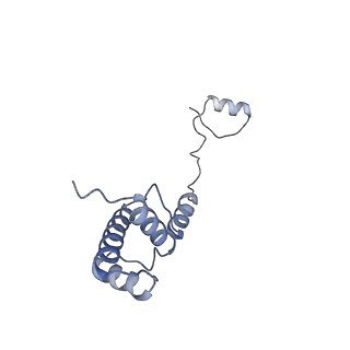 11097_6z6k_SR_v1-0
Cryo-EM structure of yeast reconstituted Lso2 bound to 80S ribosomes