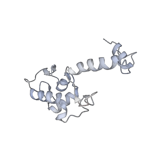 11097_6z6k_SS_v1-0
Cryo-EM structure of yeast reconstituted Lso2 bound to 80S ribosomes