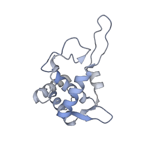 11097_6z6k_ST_v1-0
Cryo-EM structure of yeast reconstituted Lso2 bound to 80S ribosomes