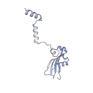 11097_6z6k_SY_v1-0
Cryo-EM structure of yeast reconstituted Lso2 bound to 80S ribosomes