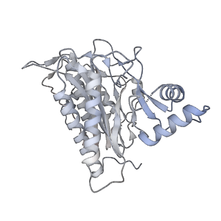 11098_6z6l_CA_v1-0
Cryo-EM structure of human CCDC124 bound to 80S ribosomes