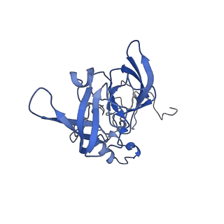 11098_6z6l_LA_v1-0
Cryo-EM structure of human CCDC124 bound to 80S ribosomes