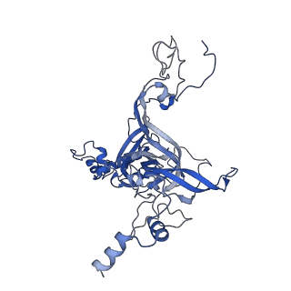 11098_6z6l_LB_v1-0
Cryo-EM structure of human CCDC124 bound to 80S ribosomes