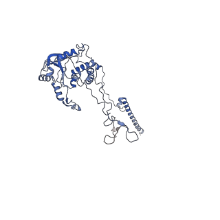 11098_6z6l_LC_v1-0
Cryo-EM structure of human CCDC124 bound to 80S ribosomes