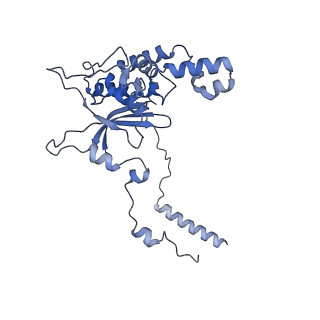 11098_6z6l_LD_v1-0
Cryo-EM structure of human CCDC124 bound to 80S ribosomes