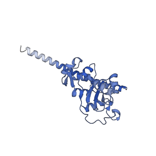 11098_6z6l_LF_v1-0
Cryo-EM structure of human CCDC124 bound to 80S ribosomes