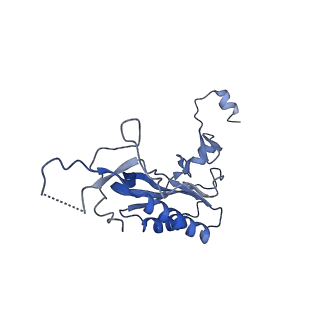 11098_6z6l_LI_v1-0
Cryo-EM structure of human CCDC124 bound to 80S ribosomes