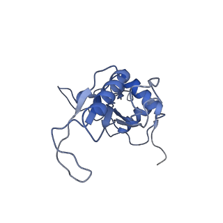 11098_6z6l_LJ_v1-0
Cryo-EM structure of human CCDC124 bound to 80S ribosomes