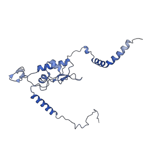 11098_6z6l_LL_v1-0
Cryo-EM structure of human CCDC124 bound to 80S ribosomes