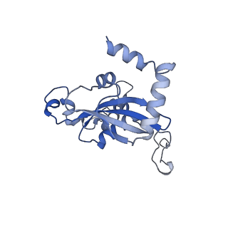 11098_6z6l_LN_v1-0
Cryo-EM structure of human CCDC124 bound to 80S ribosomes