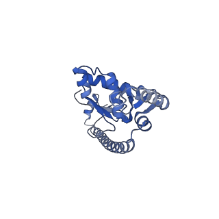 11098_6z6l_LO_v1-0
Cryo-EM structure of human CCDC124 bound to 80S ribosomes
