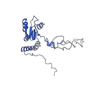 11098_6z6l_LQ_v1-0
Cryo-EM structure of human CCDC124 bound to 80S ribosomes