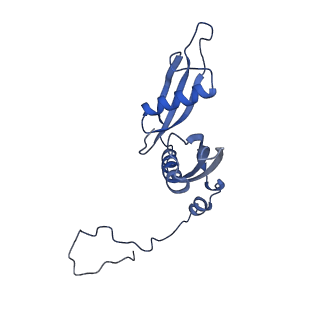11098_6z6l_LS_v1-0
Cryo-EM structure of human CCDC124 bound to 80S ribosomes