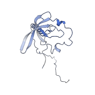 11098_6z6l_LT_v1-0
Cryo-EM structure of human CCDC124 bound to 80S ribosomes