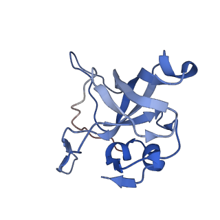 11098_6z6l_LV_v1-0
Cryo-EM structure of human CCDC124 bound to 80S ribosomes