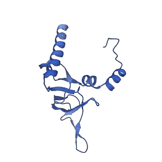 11098_6z6l_LY_v1-0
Cryo-EM structure of human CCDC124 bound to 80S ribosomes