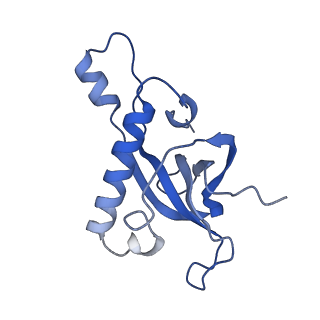 11098_6z6l_LZ_v1-0
Cryo-EM structure of human CCDC124 bound to 80S ribosomes