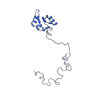11098_6z6l_La_v1-0
Cryo-EM structure of human CCDC124 bound to 80S ribosomes