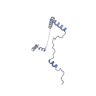 11098_6z6l_Lb_v1-0
Cryo-EM structure of human CCDC124 bound to 80S ribosomes