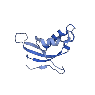 11098_6z6l_Ld_v1-0
Cryo-EM structure of human CCDC124 bound to 80S ribosomes