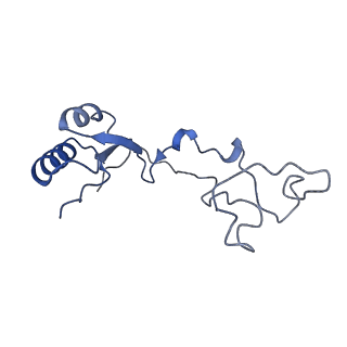 11098_6z6l_Le_v1-0
Cryo-EM structure of human CCDC124 bound to 80S ribosomes
