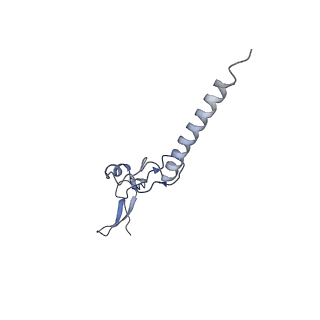 11098_6z6l_Lg_v1-0
Cryo-EM structure of human CCDC124 bound to 80S ribosomes