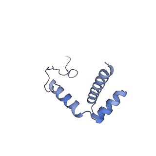 11098_6z6l_Li_v1-0
Cryo-EM structure of human CCDC124 bound to 80S ribosomes