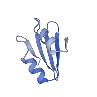 11098_6z6l_Lk_v1-0
Cryo-EM structure of human CCDC124 bound to 80S ribosomes