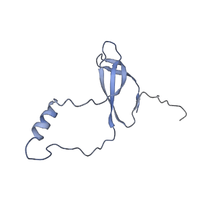 11098_6z6l_Lo_v1-0
Cryo-EM structure of human CCDC124 bound to 80S ribosomes