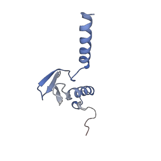 11098_6z6l_Lp_v1-0
Cryo-EM structure of human CCDC124 bound to 80S ribosomes