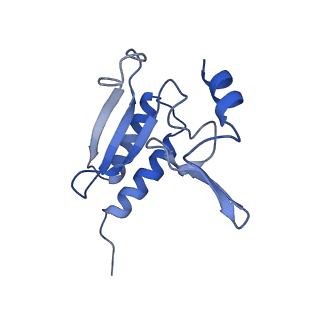 11098_6z6l_Lr_v1-0
Cryo-EM structure of human CCDC124 bound to 80S ribosomes