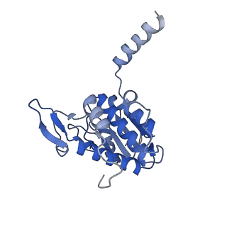 11098_6z6l_SA_v1-0
Cryo-EM structure of human CCDC124 bound to 80S ribosomes