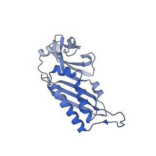11098_6z6l_SB_v1-0
Cryo-EM structure of human CCDC124 bound to 80S ribosomes