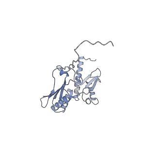 11098_6z6l_SD_v1-0
Cryo-EM structure of human CCDC124 bound to 80S ribosomes