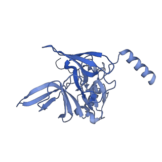 11098_6z6l_SE_v1-0
Cryo-EM structure of human CCDC124 bound to 80S ribosomes