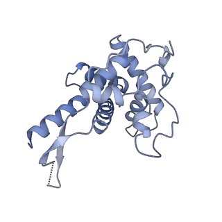 11098_6z6l_SF_v1-0
Cryo-EM structure of human CCDC124 bound to 80S ribosomes