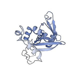 11098_6z6l_SH_v1-0
Cryo-EM structure of human CCDC124 bound to 80S ribosomes