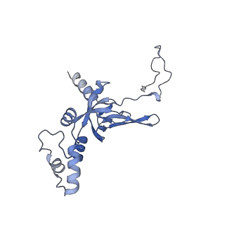 11098_6z6l_SI_v1-0
Cryo-EM structure of human CCDC124 bound to 80S ribosomes