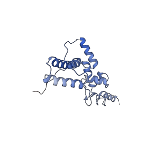 11098_6z6l_SJ_v1-0
Cryo-EM structure of human CCDC124 bound to 80S ribosomes