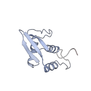 11098_6z6l_SK_v1-0
Cryo-EM structure of human CCDC124 bound to 80S ribosomes