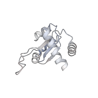 11098_6z6l_SM_v1-0
Cryo-EM structure of human CCDC124 bound to 80S ribosomes
